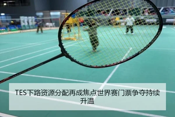TES下路资源分配再成焦点世界赛门票争夺持续升温