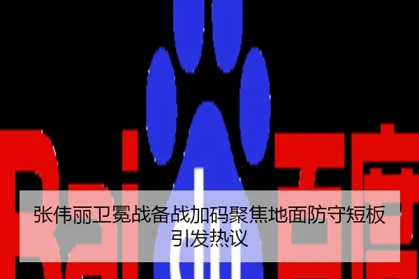 张伟丽卫冕战备战加码聚焦地面防守短板引发热议